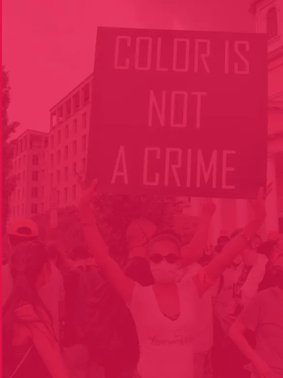 Volunteer Background